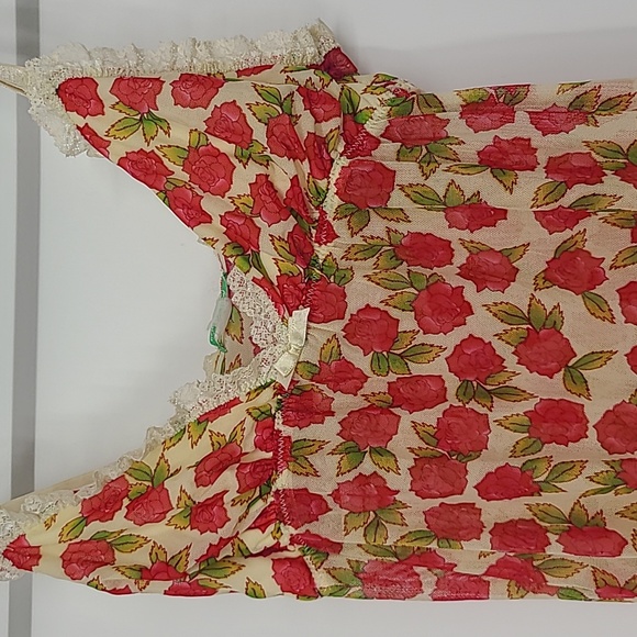 Honeydew pink roses slip sheer lace small - Picture 2 of 9